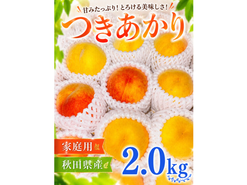トロピカルな味わい！黄桃【秋田県産つきあかり】家庭用　2.0kg