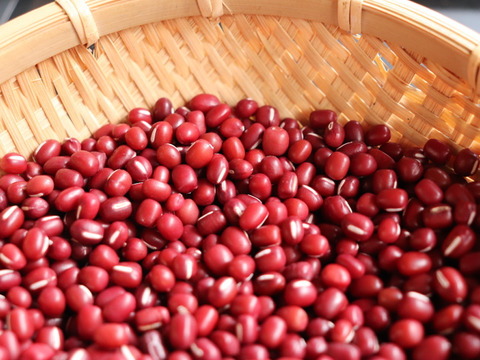 【1月のお届け】◎自然栽培◎大納言あずき 9.5kg 《令和6年・山形県鶴岡産》