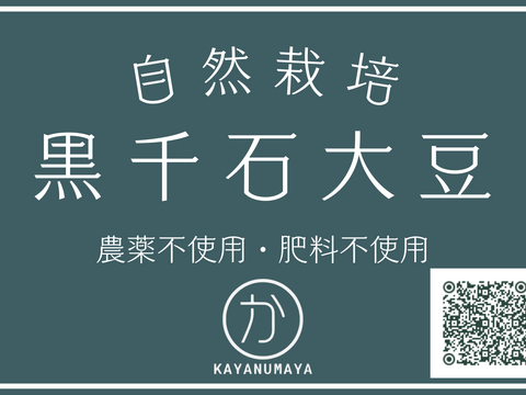 【自然栽培】丹沢山麓の幻の黒千石大豆2kg　農薬不使用・肥料不使用 60サイズ