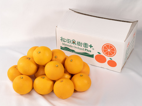 【母の日ギフト】面倒な皮むき無し！！オレンジカットで食べられるミニ八朔5kg