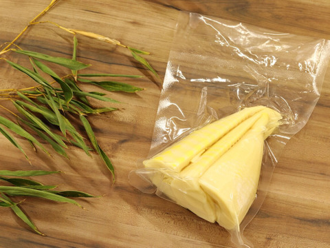 【少量パック！】【たけのこ水煮】採れたて筍の美味しさをそのまま！ たけのこ穂先の水煮　すぐに料理に使える！　真空パック（200g）