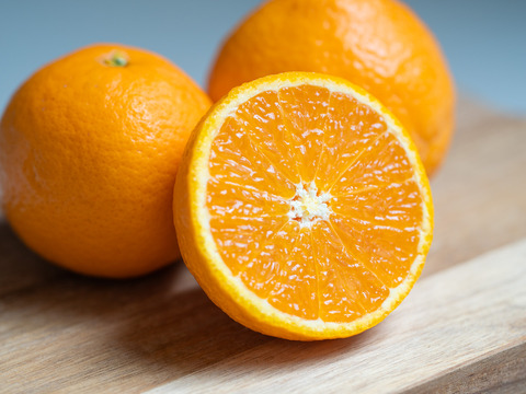 【今が旬！】高級品種の母 ハウス清見(きよみ)  約4.5kg