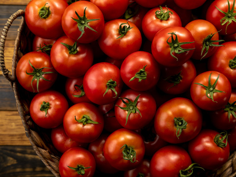 【北海道産】🍅樹上熟3段採り🍅桃太郎トマト2kg箱〈正品〉