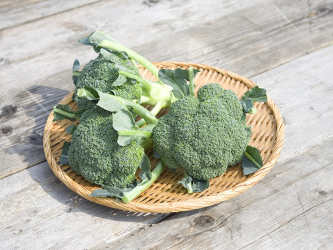 北海道産ブロッコリー　氷詰め・12玉