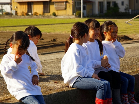 【期間限定！】大人気♪甘くて柔らか美味しさ感動級♪グリーンボール５玉