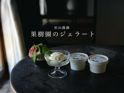 果樹園のジェラート『夏にさっぱりシャーベットおすすめセット』６個入り