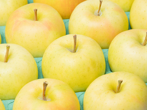 甘～いりんごが好きな方にピッタリな品種☆
青森県イチオシの品種☆トキ ５kg(大玉～中玉) 約１６ー２０個