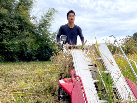 【2025年度産】自然栽培&天日干し『古代米ミックス』［紫黒米＋緑米］玄米250g（富山県氷見産）