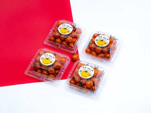 オレンジのトマト旨味抜群『ポモロッサオレンジ４パック入』