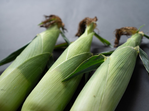 【生も美味い】濃厚激甘『八ヶ岳ヴィーナス』＜お試しに＞雑誌リンネル掲載｜配送日時指定⭕️｜370g×4本