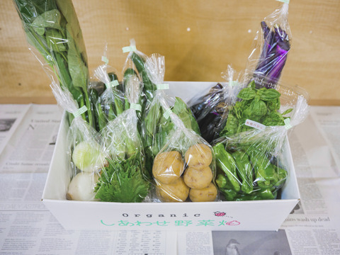 選ぶなら 規格外増量】オーガニック野菜「シェフMセット」しあわせ野菜畑 野菜