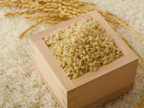 ヒノヒカリ 30kg 玄米 佐賀県伊万里市産