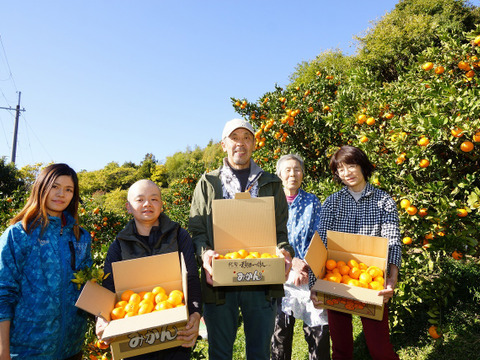 秋の爽やかな味覚！和歌山オリジナル品種『YN-26』約3kg