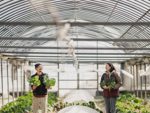 寒暖差で美味しくなってます！季節の野菜セット【7品目】＃栽培期間中農薬・化学肥料不使用