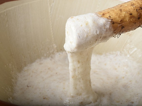 【冬ギフト】迫力の1本芋２本セット！１ｋｇ入り【健康生活応援】まるでお餅！ねばりが自慢の自然薯「京仙人」まるごと1本でお届け！