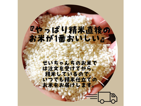 【令和7年新米】【白米】 『虹のきらめき10kg』新品種！おにぎりやお弁当にも最適！後をひく甘さともっちり感が抜群！