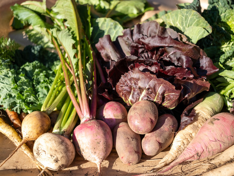 季節の野菜セット(約5~7品)＊Sサイズ
