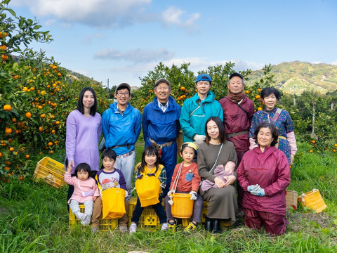 ポンカン 4kg★むいた瞬間から香りがおいしい！★手でむいて薄皮ごと食べられる！