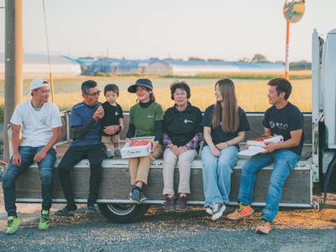 旨味がジュワッと♪昔ながらの味わい‼️「うみとまと40〜64玉」VegeRiseからお届け【おすすめの食べ方付き】