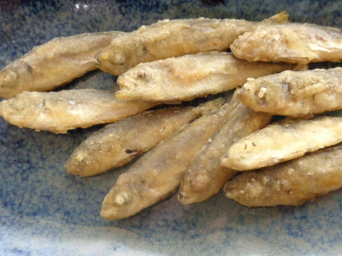 【🧍単品】マメに働かない「ほっこり🐽豆アジ」。カリッと揚げたら🍺ビールに最高🤣！【豆アジ唐揚げ１０００ｇ】絶品🌟