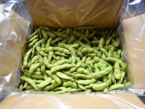 規格外、ズッキーニと枝豆のセット