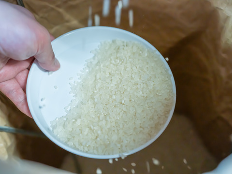 新米！＜15年連続最高評価特A受賞＞令和7年 さがびより 5kg（白米）