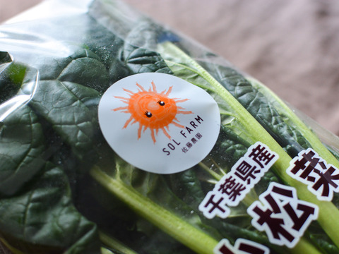 【有機JAS】えぐみが少なく希少！ ちぢみ小松菜 4袋（約1kg）