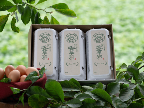 【ハーブ飼料100％】平飼い有精卵香草卵10個入×3パック　レモンイエローの黄身！ハーブの力で生臭さゼロ！