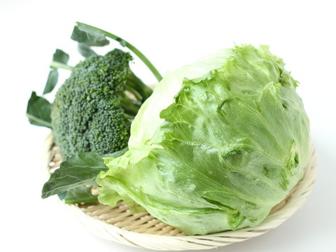 愛情たっぷり 旨味ギッシリ 絶品 奥久慈野菜おまかせセット6種類 茨城県産 食べチョク 農家 漁師の産直ネット通販 旬の食材を生産者直送