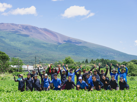 【ぽろたん】皮がむきやすく食べごたえのある　長野県産大粒栗　1kg