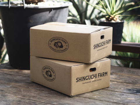 【予約限定価格】ゼリーのようなプルプル食感 まどんな 2kg【家庭用】媛果まどんな