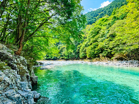 一人暮らしの方へ！山形県産コシヒカリ（2kg：大人1／1日1食約1ヶ月分） 令和6年産：精米、お試し用パックご飯1個（180g）付