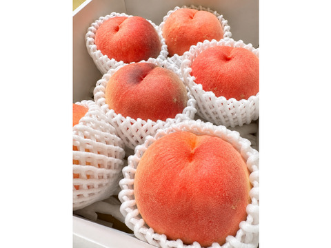 クール便　大玉ジューシー！桃【あかつき　秋田県産】贈答用2kg