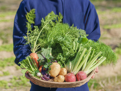 【淡路島産】冬ギフト_旬の冬野菜セット！ 6~7種詰め合わせ