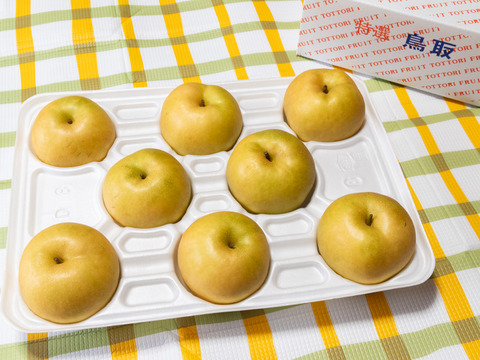 リピート率No.1！鳥取県が誇る大人気品種『新甘泉』贈答用 5kg