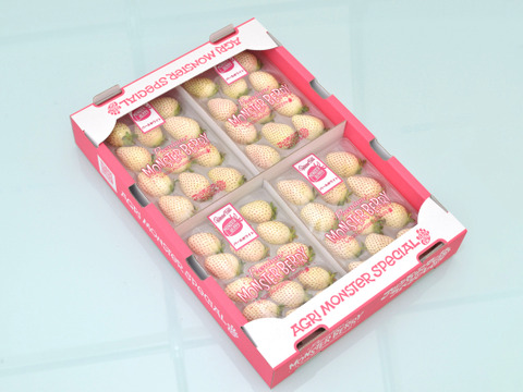 極旨！パールホワイト　ＤＸトレー４個入り　約230ｇ　4トレー