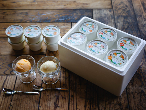 新発売　旬の美味しさを閉じ込めた　果樹園のジェラート『柑橘食べ比べセット』6種類12個入り　配達日時指定便 杉山農園