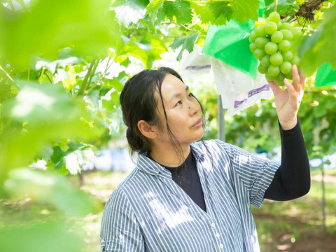 【ご家庭用4～6房】ぶどう食べ比べセット（品種おまかせ／約1.8kg）