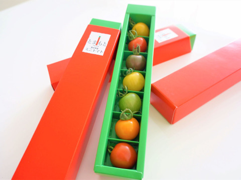 【夜市限定】７色カラフルミニトマト4箱セット：ギフトメッセージ対応：熨斗対応可能