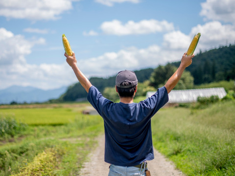 果樹農家がつくるスイートコーン「おおもの」家庭用3kg