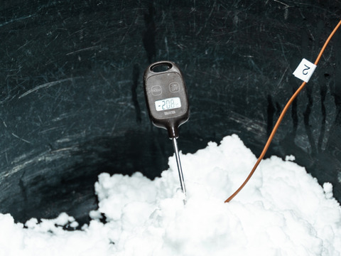 とらふぐのたたき（小皿）/1皿