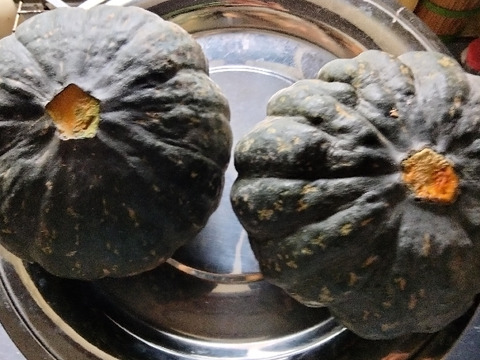 肉厚ホクホク兵庫産 かぼちゃ2個   2500ｇ