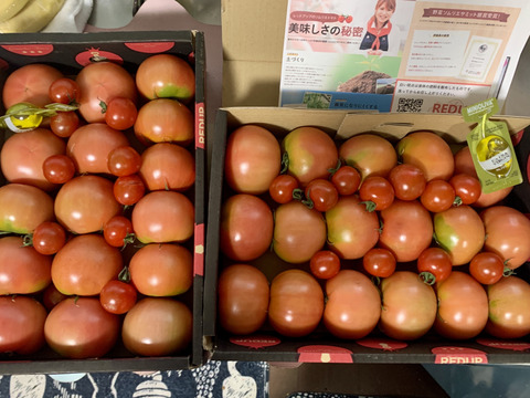 予約1月下旬から予約順で発送【特別栽培農産物の取得】＼訳あり／受賞歴３回！ソムリエトマト2kg前後（8玉～16玉) ②のオマケ❗️ソムリエミニトマト　ダイヤ【食べ比べ】