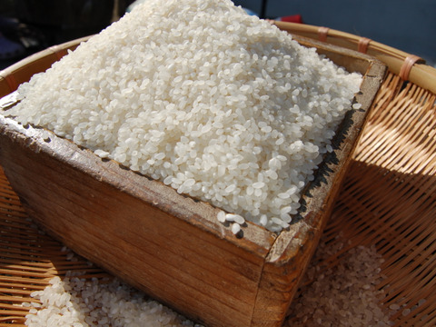 令和6年産】香り立つ『あかまのお米』~ササニシキ~(5kg 令和6年産】香り立つ『あかまのお米』~ササニシキ~(5kg