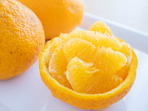 【爽やかな酸味とほのかな甘み】すっきり爽快、昔ながらの美味しさ　甘夏２ｋｇ　※３月中旬発送