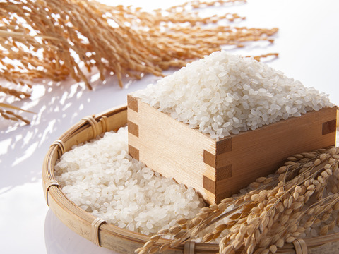 【ふるさと納税・定期便6ヶ月】令和7年産【魚沼産コシヒカリ 白米】2kg×6回分 ＜新潟県＞