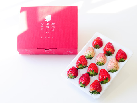 「栃木のいちご4種入り！」厳選！1パック9～15粒【ゆりかーご】450g以上