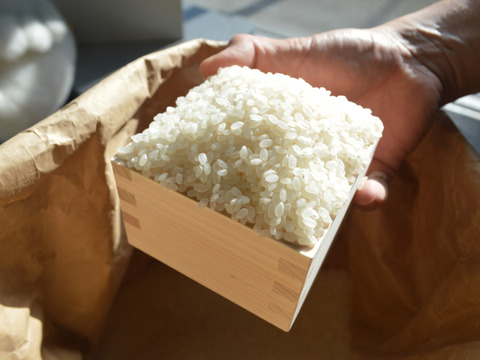 新米です！「至宝の米」北杜武川米コシヒカリ　減農薬米（精米5キロ）