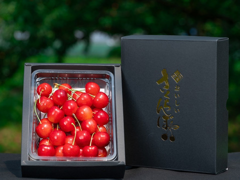 大贈3【まるで宝石箱！特別ギフトBOX】朝採りさくらんぼ【3L粒】 父の日ギフト6月発送】父の日ギフト さくらんぼ 山形県産 佐藤錦