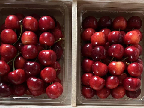 2026年予約販売山形県産さくらんぼ　やまがた紅王  特秀　桐箱　3L、4L